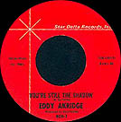 You're still the shadow